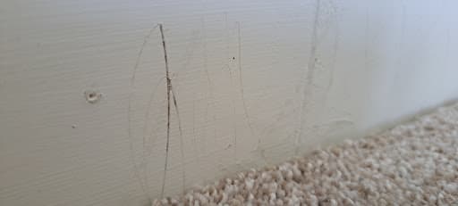 Wilsons Carpets, Anlaby Road, Hull — Customer photo