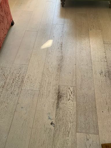 The Floor Doctor — Customer photo