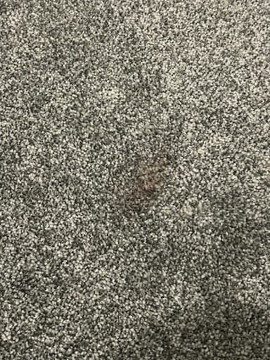 Karpet Kingdom: Coventry — Customer photo