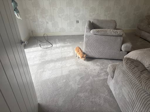 Tapi Carpets & Floors — Customer photo