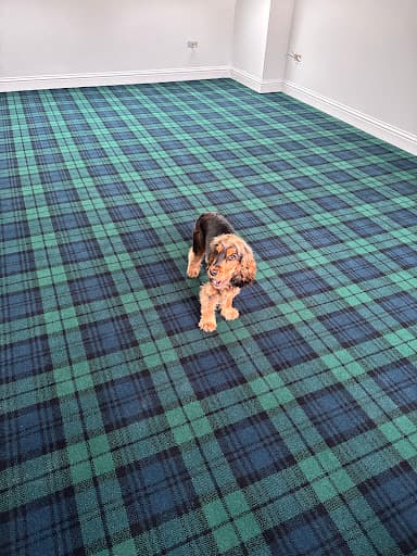 Tudor Carpets Limited — Customer photo