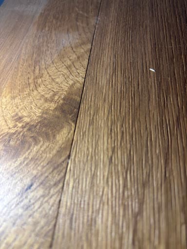 Hamiltons — Customer photo