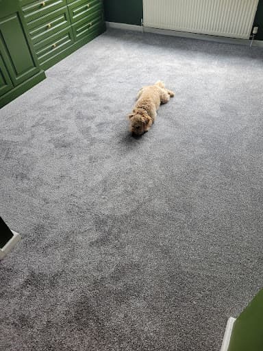 Turner flooring — Customer photo